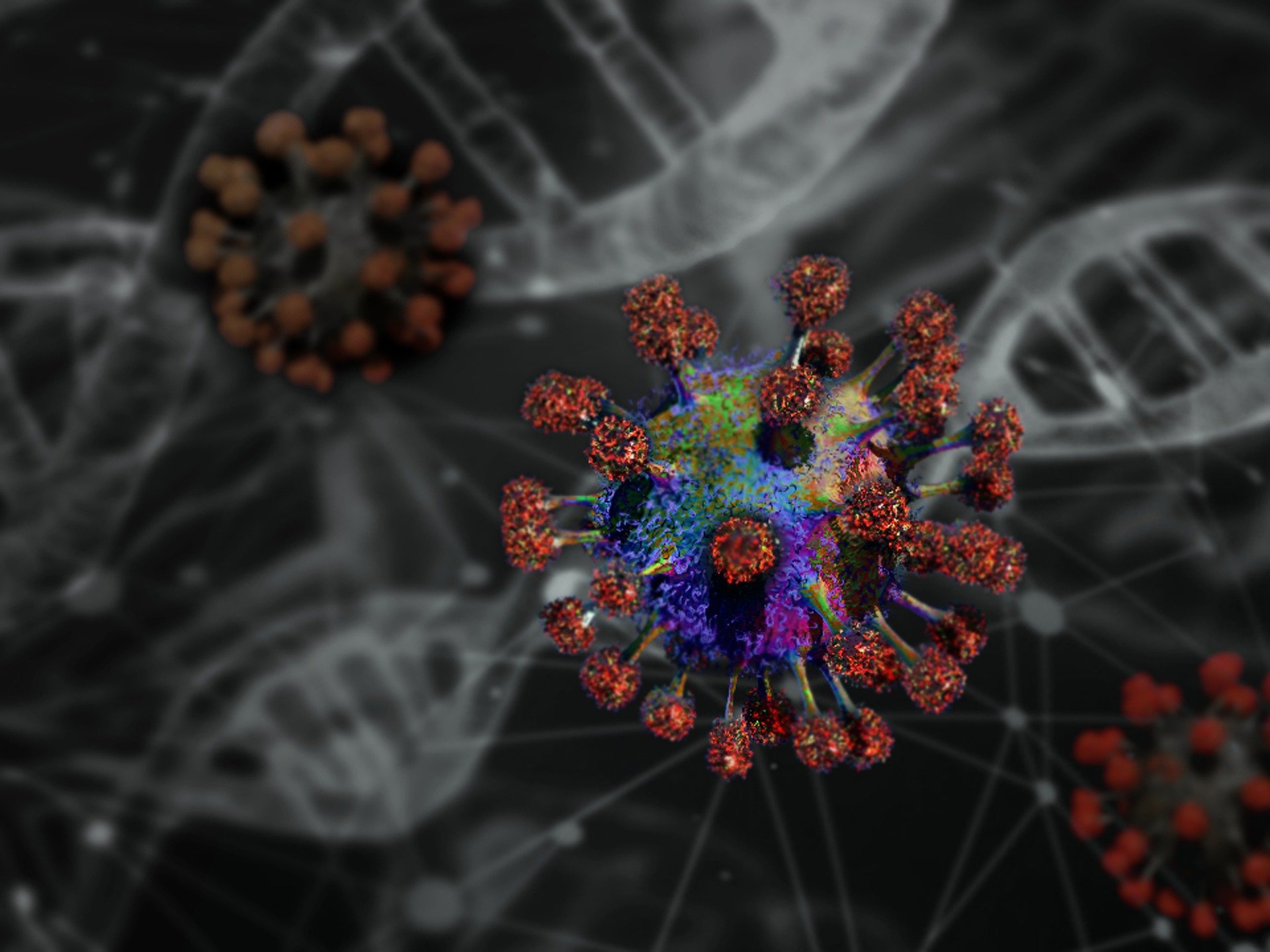  Coronavirus SARS-CoV-2 (COVID-19) 